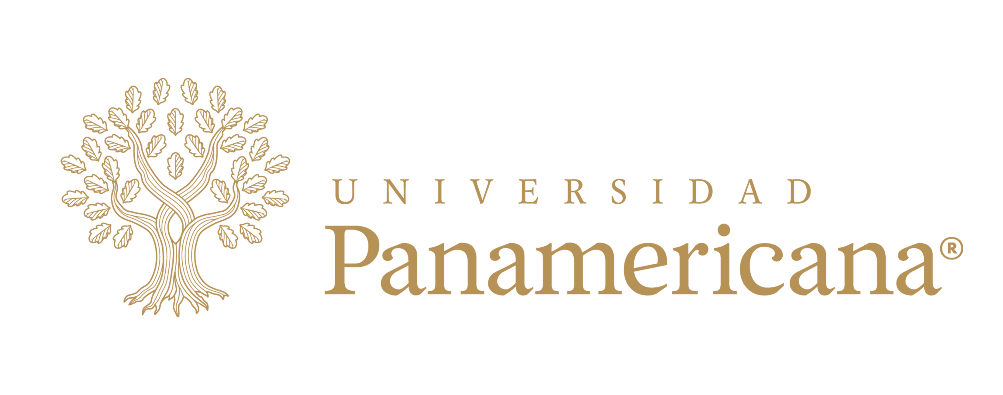 Universidad Panamericana